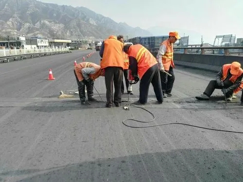 双桥道路桥梁病害治理